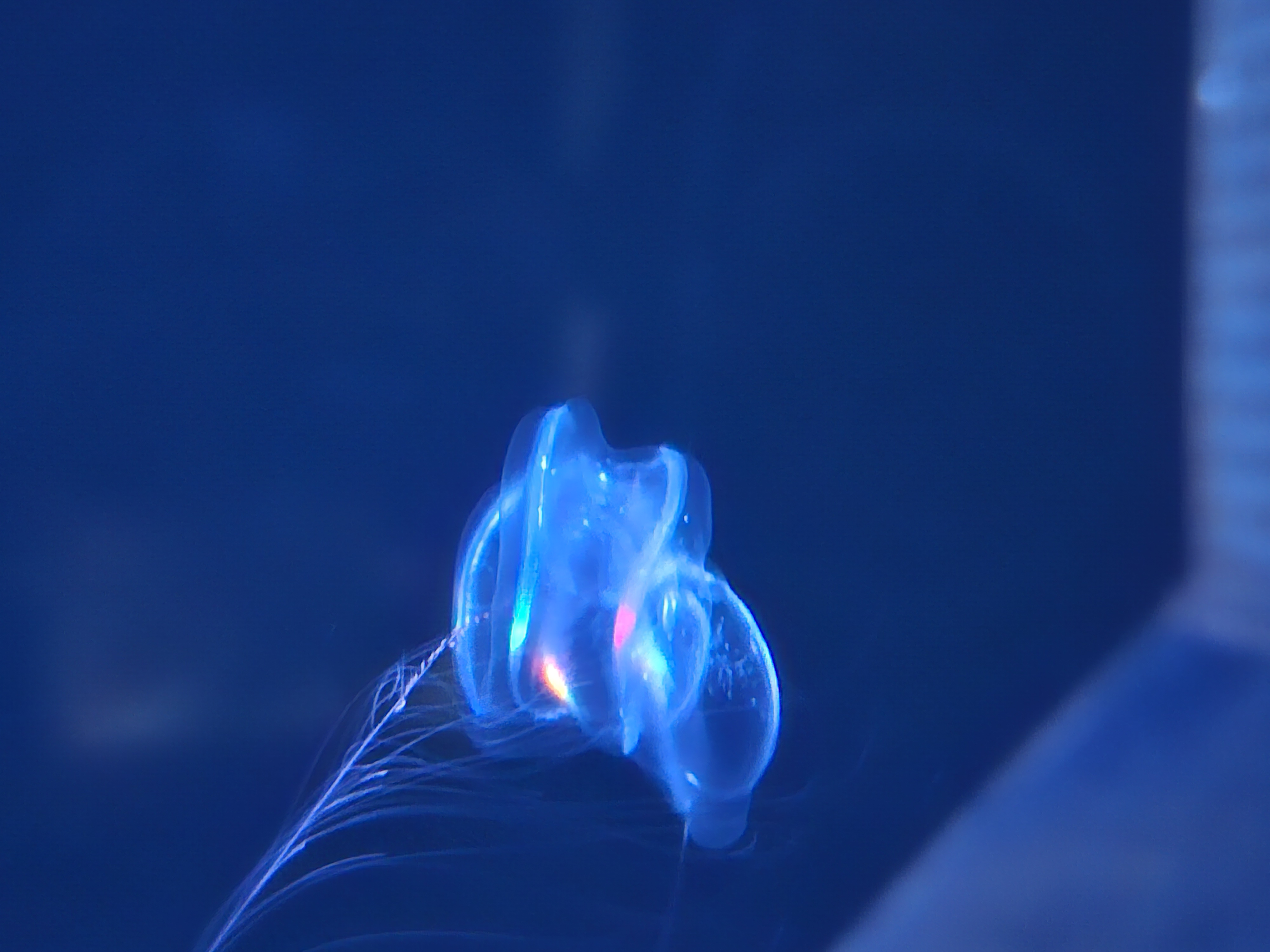 20250822002.jpg